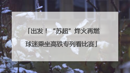 出发！“苏超”烽火再燃 球迷乘坐高铁专列看比赛