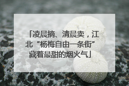 凌晨摘、清晨卖，江北“杨梅自由一条街”藏着最甜的烟火气