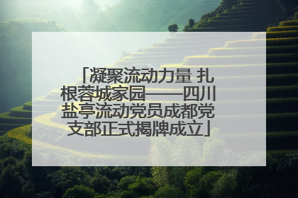 凝聚流动力量 扎根蓉城家园——四川盐亭流动党员成都党支部正式揭牌成立