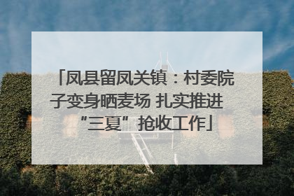 凤县留凤关镇：村委院子变身晒麦场 扎实推进“三夏”抢收工作