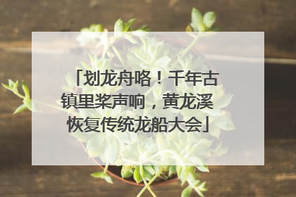 划龙舟咯！千年古镇里桨声响，黄龙溪恢复传统龙船大会