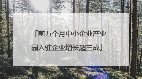 前五个月中小企业产业园入驻企业增长超三成