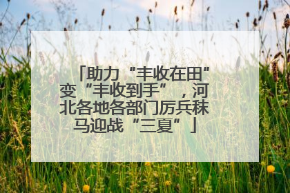 助力“丰收在田”变“丰收到手”，河北各地各部门厉兵秣马迎战“三夏”