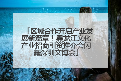 区域合作开启产业发展新篇章！黑龙江文化产业招商引资推介会闪耀深圳文博会