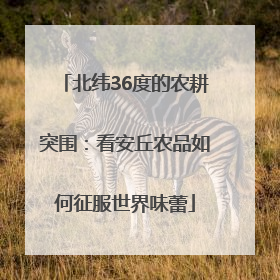 北纬36度的农耕突围：看安丘农品如何征服世界味蕾