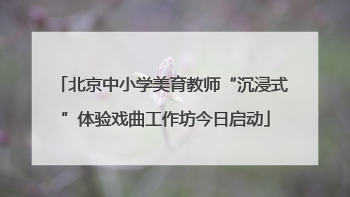 北京中小学美育教师“沉浸式”体验戏曲工作坊今日启动
