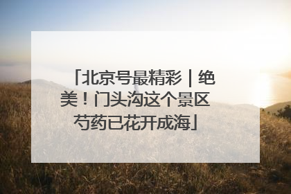 北京号最精彩｜绝美！门头沟这个景区芍药已花开成海