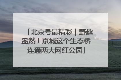 北京号最精彩｜野趣盎然！京城这个生态桥连通两大网红公园