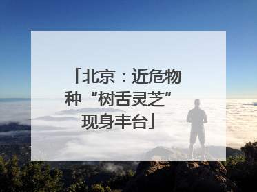 北京：近危物种“树舌灵芝”现身丰台