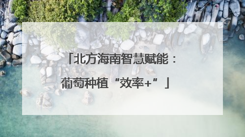 北方海南智慧赋能：葡萄种植“效率+”