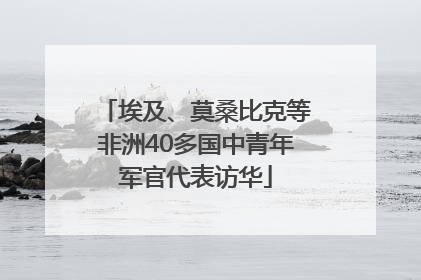 埃及、莫桑比克等非洲40多国中青年军官代表访华