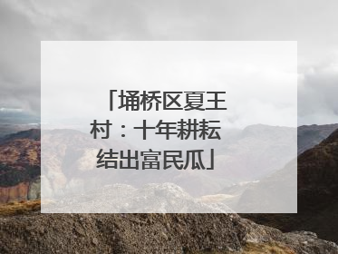 埇桥区夏王村：十年耕耘结出富民瓜