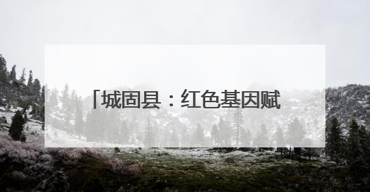 城固县：红色基因赋能智慧应急 探索基层治理现代化新路径