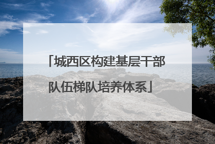 城西区构建基层干部队伍梯队培养体系