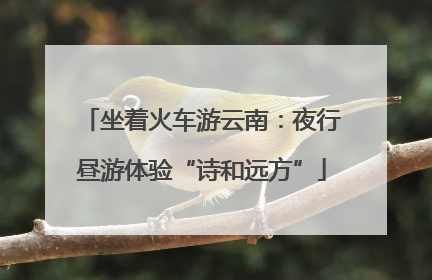 坐着火车游云南：夜行昼游体验“诗和远方”