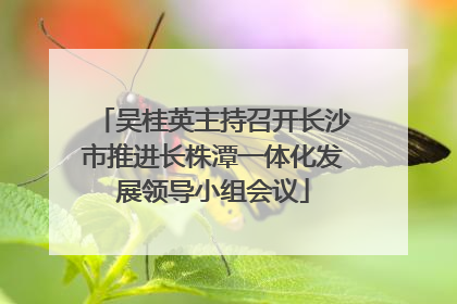 吴桂英主持召开长沙市推进长株潭一体化发展领导小组会议