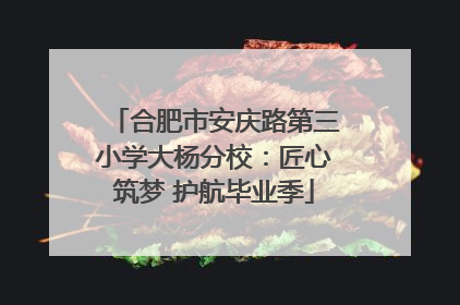 合肥市安庆路第三小学大杨分校：匠心筑梦 护航毕业季