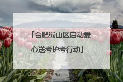 合肥蜀山区启动爱心送考护考行动
