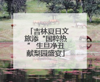 吉林夏日文旅添“国粹热” 生旦净丑献梨园盛宴
