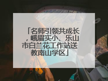 名师引领共成长，峨眉实小、乐山市白兰花工作站送教南山学区
