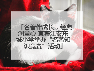 名著伴成长，经典润童心 宜宾江安东城小学举办“名著知识竞赛”活动