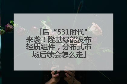 后“531时代”来袭！隆基绿能发布轻质组件，分布式市场后续会怎么走