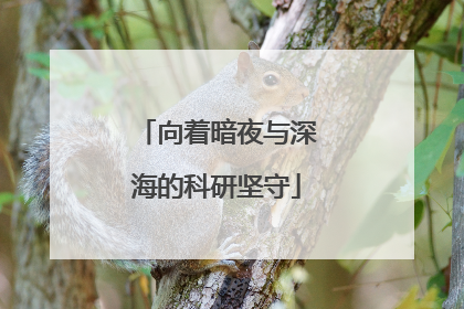 向着暗夜与深海的科研坚守