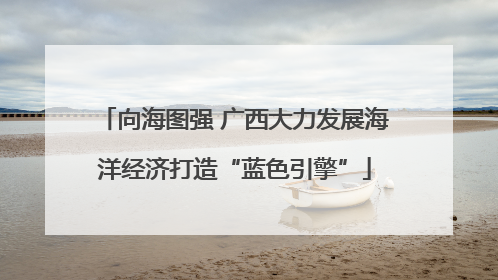 向海图强 广西大力发展海洋经济打造“蓝色引擎”