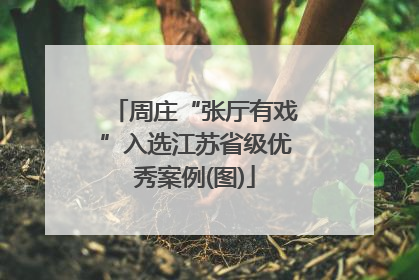 周庄“张厅有戏”入选江苏省级优秀案例(图)
