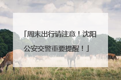 周末出行请注意！沈阳公安交警重要提醒！