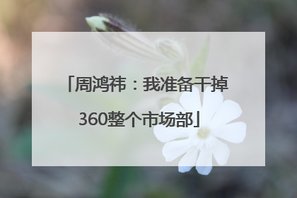 周鸿祎：我准备干掉360整个市场部