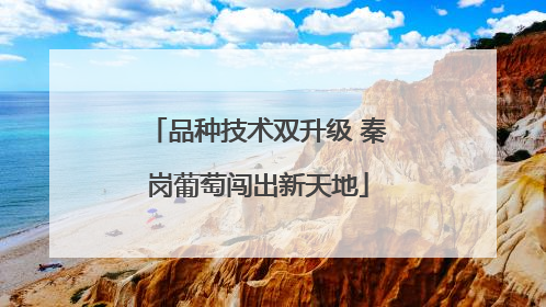 品种技术双升级 秦岗葡萄闯出新天地