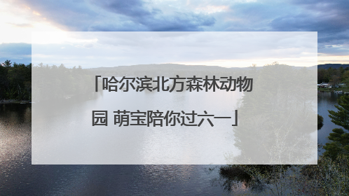 哈尔滨北方森林动物园 萌宝陪你过六一