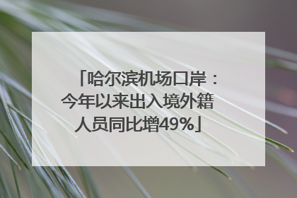 哈尔滨机场口岸：今年以来出入境外籍人员同比增49%