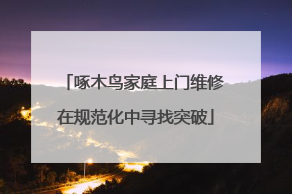 啄木鸟家庭上门维修在规范化中寻找突破