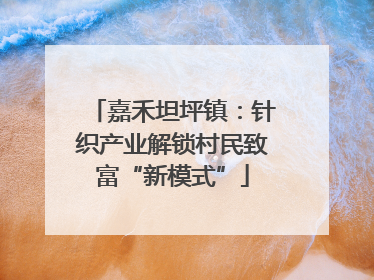 嘉禾坦坪镇：针织产业解锁村民致富“新模式”