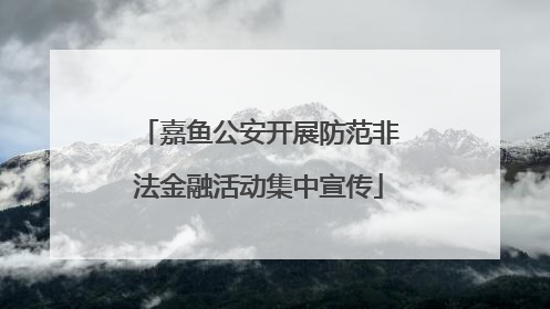 嘉鱼公安开展防范非法金融活动集中宣传