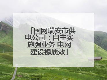 国网瑞安市供电公司：自主实施强业务 电网建设提质效