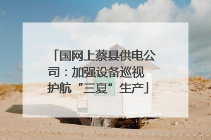 国网上蔡县供电公司：加强设备巡视 护航“三夏”生产