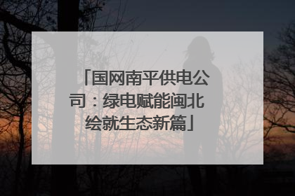 国网南平供电公司：绿电赋能闽北 绘就生态新篇