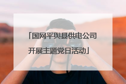 国网平舆县供电公司开展主题党日活动