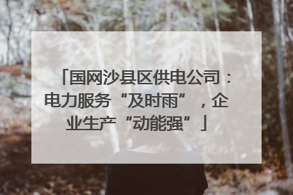 国网沙县区供电公司：电力服务“及时雨”，企业生产“动能强”