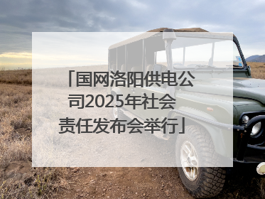 国网洛阳供电公司2025年社会责任发布会举行