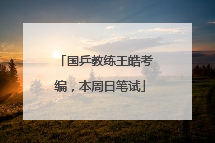 国乒教练王皓考编，本周日笔试