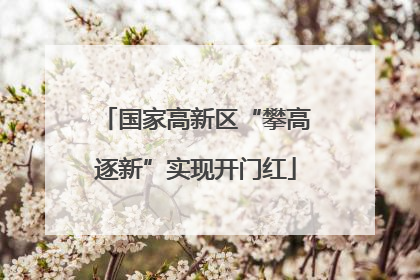 国家高新区“攀高逐新”实现开门红