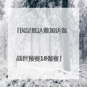 国足抵达雅加达备战世预赛18强赛
