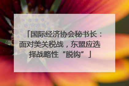 国际经济协会秘书长：面对美关税战，东盟应选择战略性“脱钩”