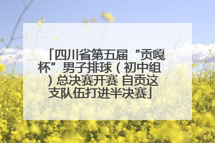 四川省第五届“贡嘎杯”男子排球（初中组）总决赛开赛 自贡这支队伍打进半决赛