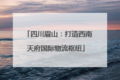 四川眉山：打造西南天府国际物流枢纽