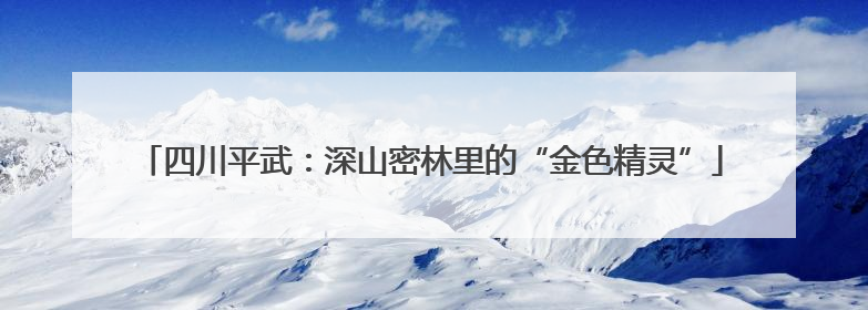 四川平武：深山密林里的“金色精灵”